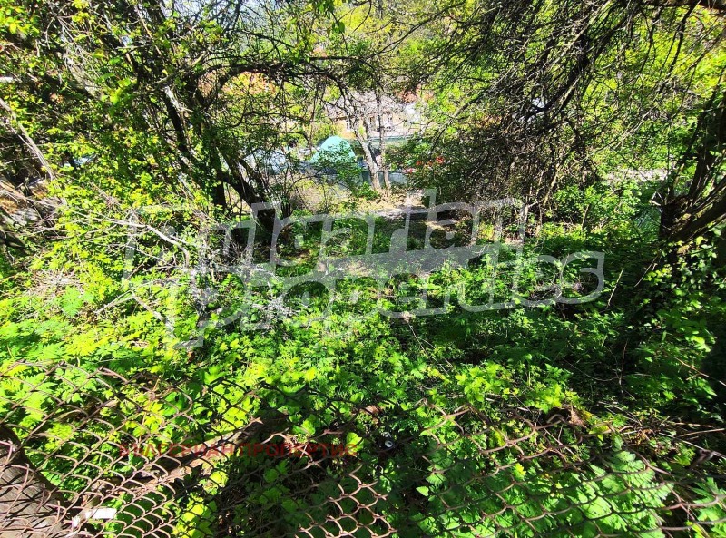 À venda  Trama região Plovdiv , Boikovo , 282 m² | 96577664 - imagem [2]