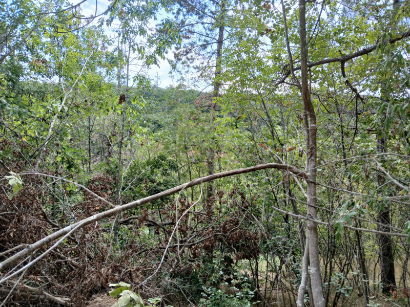 Продава ПАРЦЕЛ, гр. Варна, м-т Ракитника, снимка 9 - Парцели - 53498020