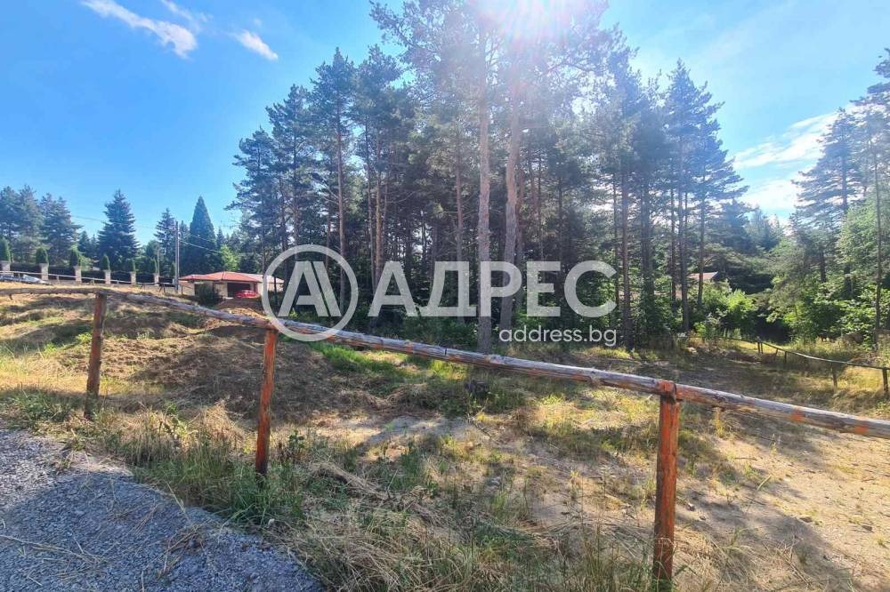 Продава ПАРЦЕЛ, в.з.Ярема, област София област, снимка 2 - Парцели - 55922290