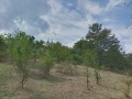 Продава КЪЩА, с. Добри дол, област Кюстендил, снимка 6