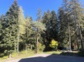 Продава 2-СТАЕН, област София, к.к. Боровец • 120000 € • 63373627 — Holmes.bg
