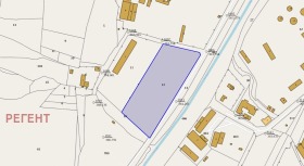 ����� ������� ������,���� �������, ���������� ����