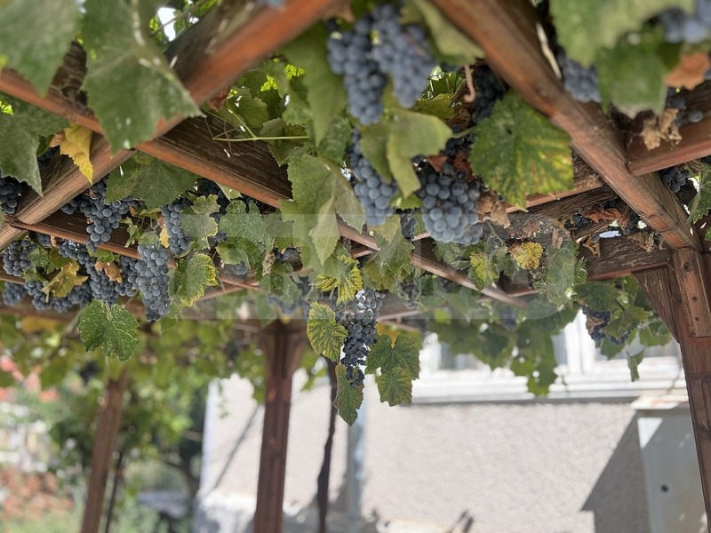 Till salu  Hus region Dobrich , Kavarna , 85 kvm | 60471093 - bild [12]