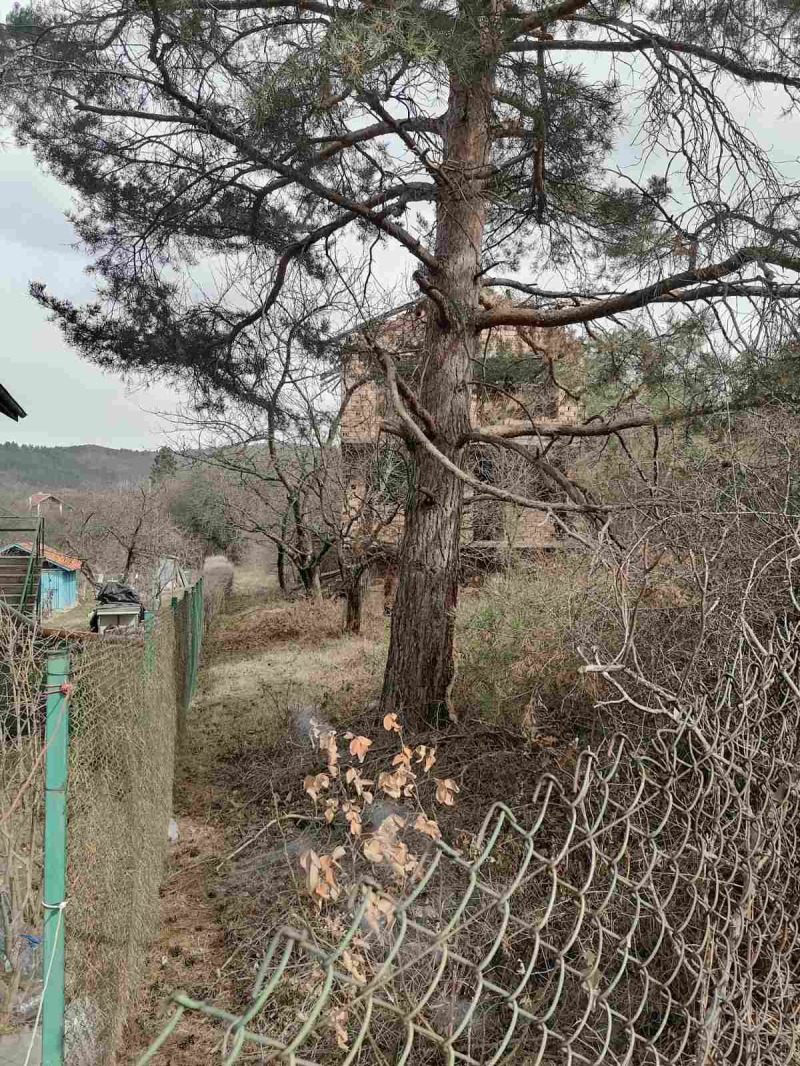 Продава ПАРЦЕЛ, гр. София, гр. Нови Искър, снимка 2 - Парцели - 53418771