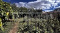 Продава КЪЩА, област Добрич, гр. Каварна • 80000 € / 156466.40 лв. • 53260486 9