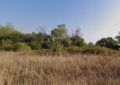 Продава ПАРЦЕЛ, област Бургас, с. Емона • 37000 € • 44791954 — Holmes.bg