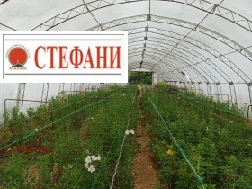 ������� ���� | Imot.bg � ����� ������ 10