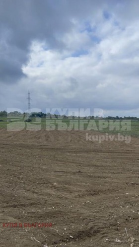 Działka m-t Perczemlijata, Warna 1