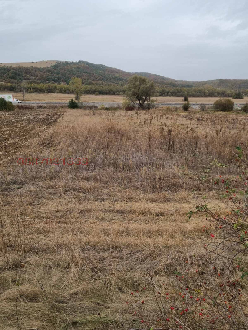 Продава ЗЕМЕДЕЛСКА ЗЕМЯ, гр. Дупница, област Кюстендил, снимка 6 - Земеделска земя - 52786215