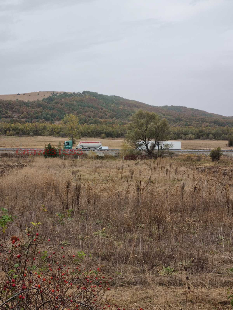 Продава ЗЕМЕДЕЛСКА ЗЕМЯ, гр. Дупница, област Кюстендил, снимка 4 - Земеделска земя - 52786215