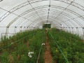 Продава КЪЩА, с. Басарбово, област Русе, снимка 10