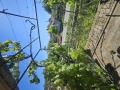 Продава КЪЩА, област Стара Загора, с. Главан • 36000 € / 70409.88 лв. • 41760680 14