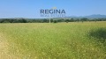 Продава ПАРЦЕЛ, област Пловдив, гр. Хисаря • 115500 € • 94286229 — Holmes.bg