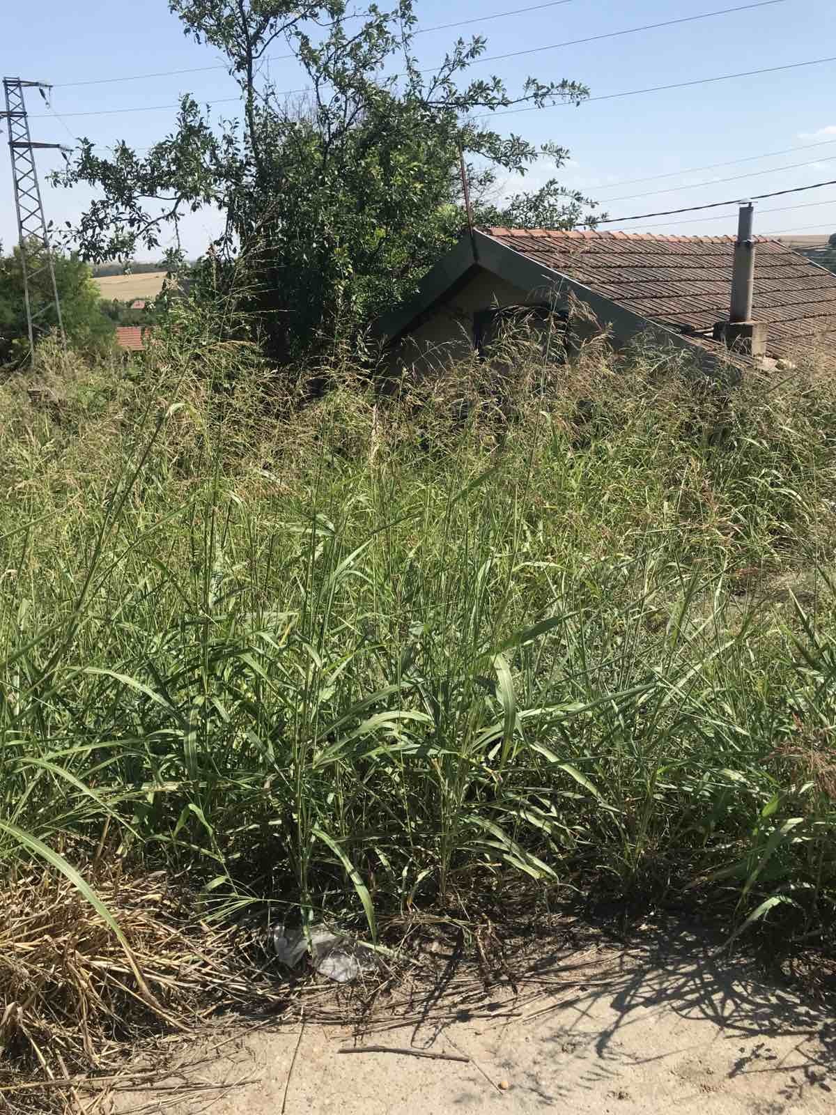 Продава ПАРЦЕЛ | Imot.bg — изображение 2