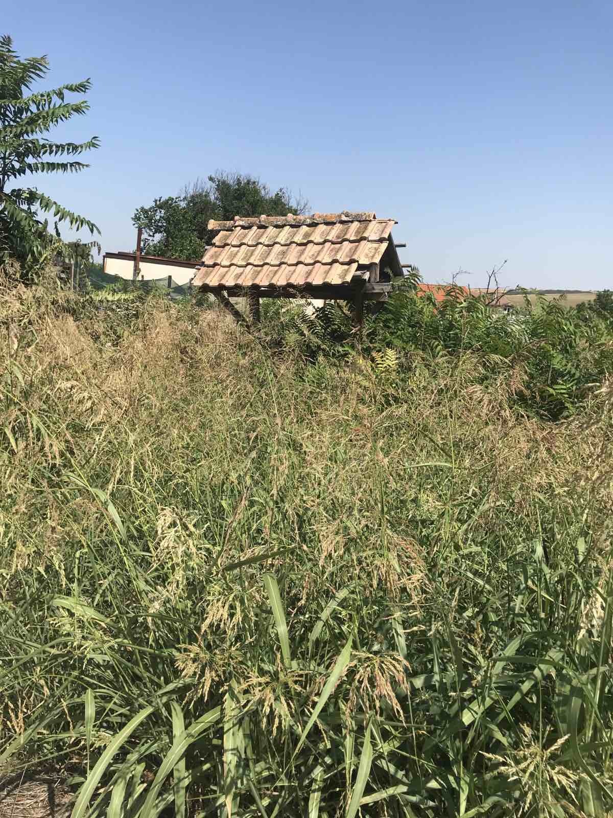 Продава ПАРЦЕЛ | Imot.bg — изображение 1