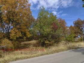 ������� ������ | Imot.bg � ����� ������ 2