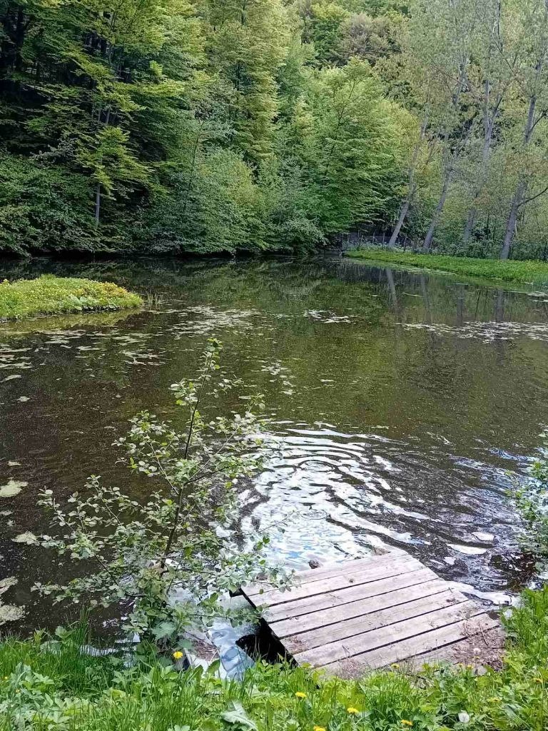 Te koop  Verhaallijn Sofia , Zjeleznitsa , 11600 m² | 87882175