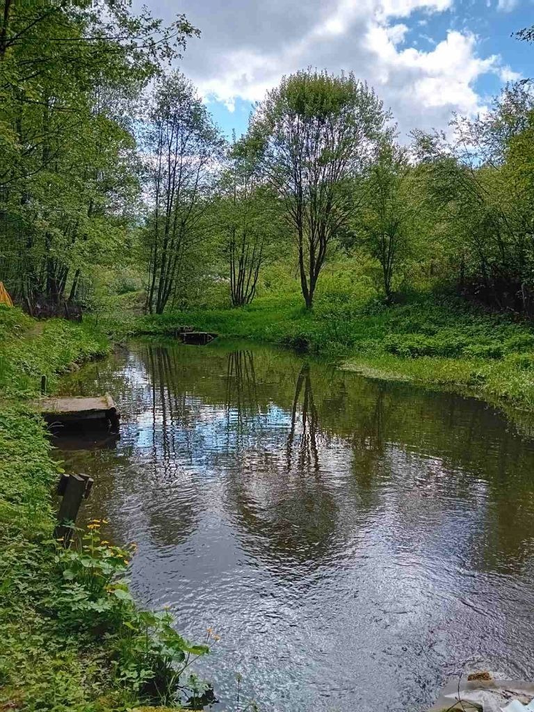 Te koop  Verhaallijn Sofia , Zjeleznitsa , 11600 m² | 87882175 - afbeelding [4]