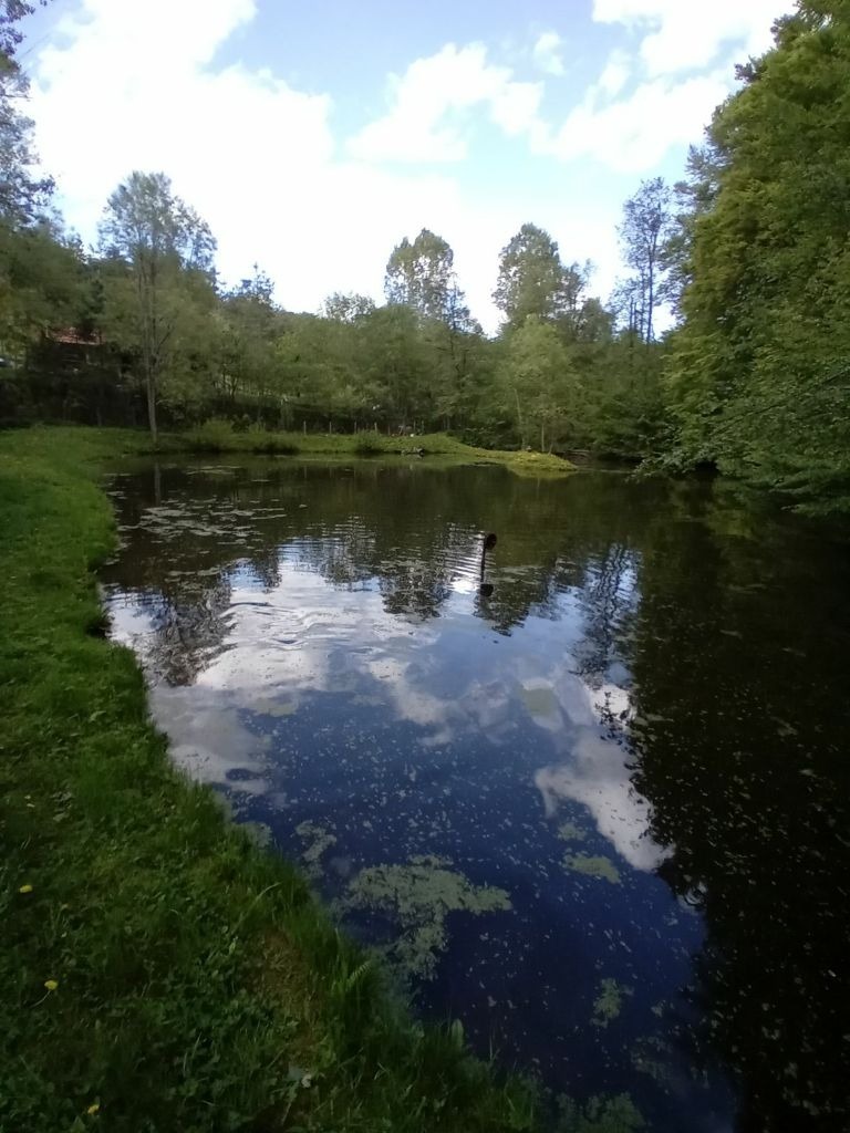 Te koop  Verhaallijn Sofia , Zjeleznitsa , 11600 m² | 87882175 - afbeelding [7]