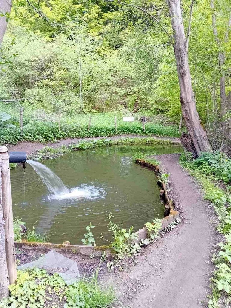 Te koop  Verhaallijn Sofia , Zjeleznitsa , 11600 m² | 87882175 - afbeelding [2]