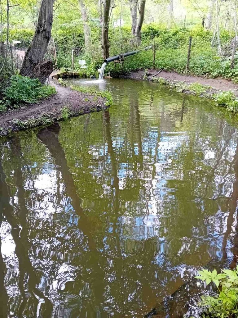 Te koop  Verhaallijn Sofia , Zjeleznitsa , 11600 m² | 87882175 - afbeelding [6]