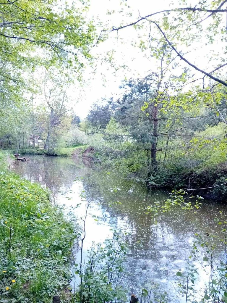 Te koop  Verhaallijn Sofia , Zjeleznitsa , 11600 m² | 87882175 - afbeelding [5]