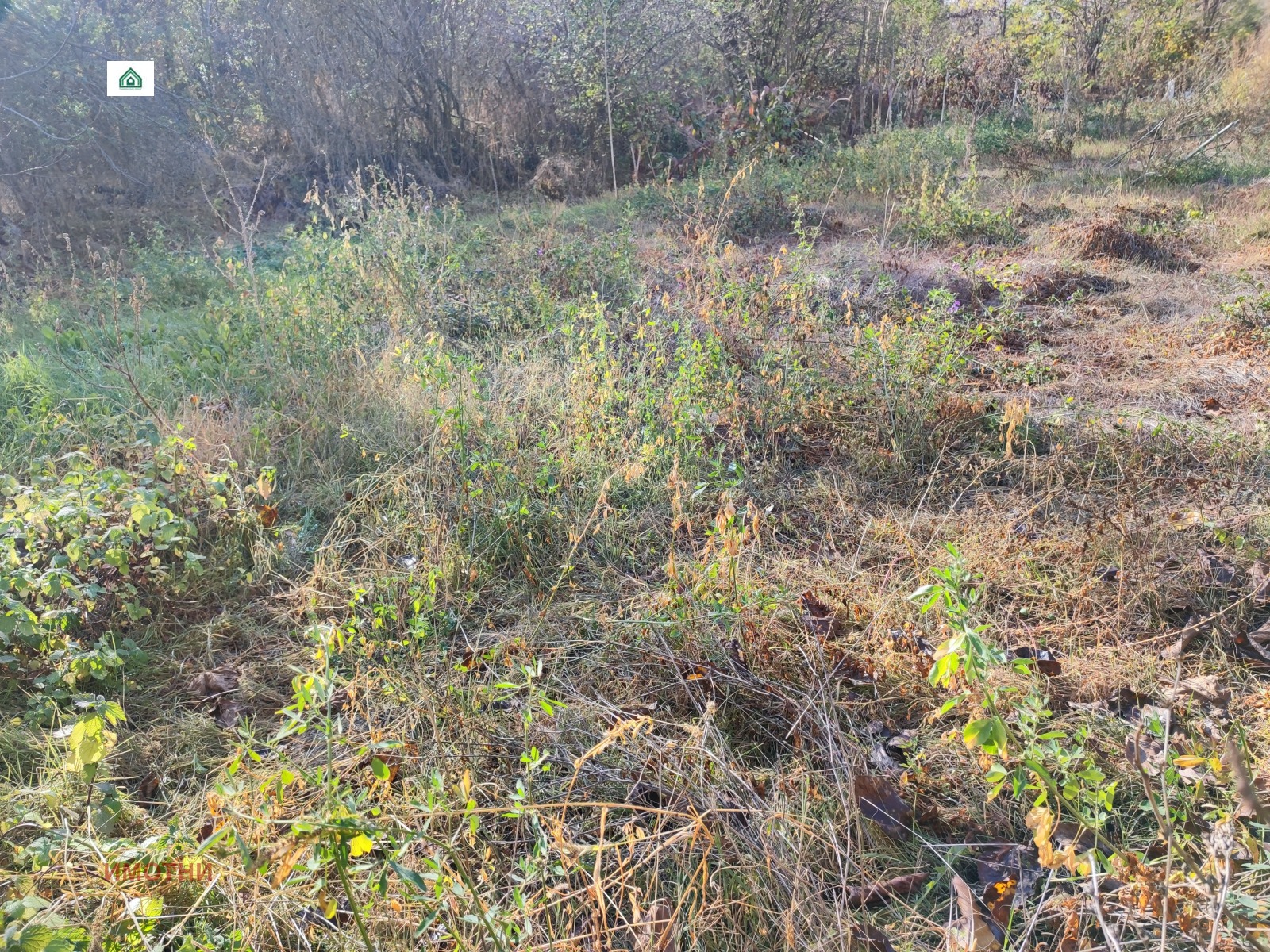 ������� ������ | Imot.bg � ����������� 2