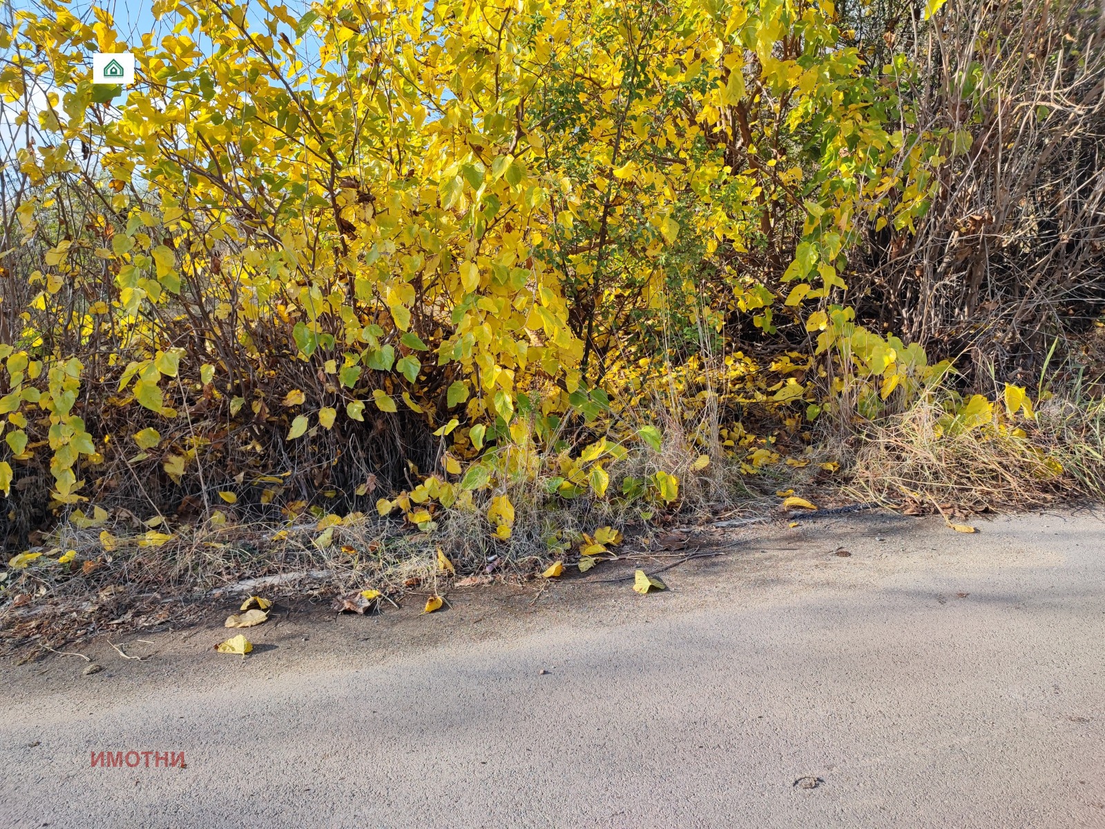 ������� ������ | Imot.bg � ����������� 3