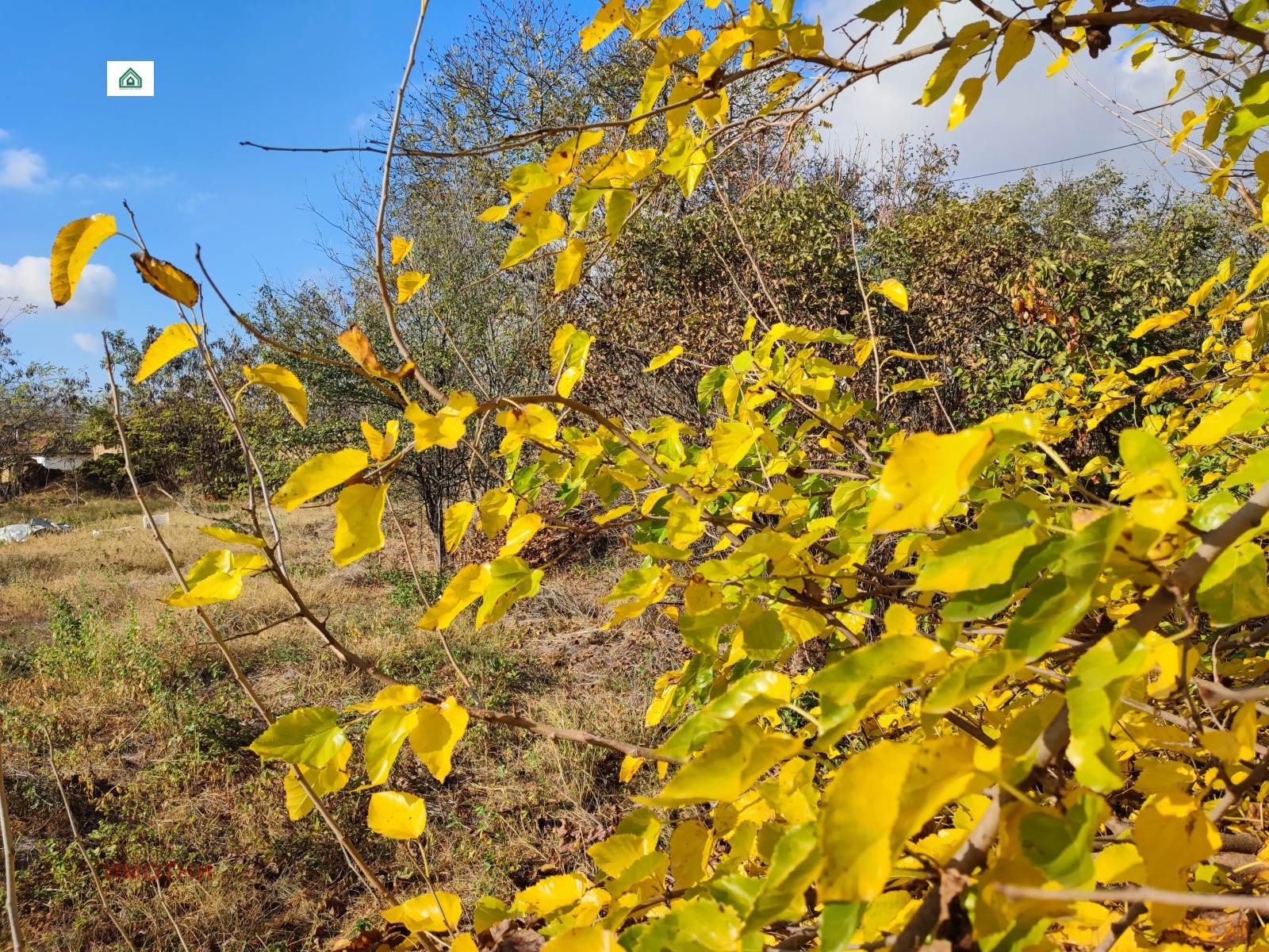 ������� ������ | Imot.bg � ����������� 1