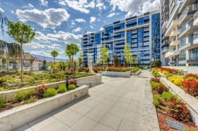 ����� ������� 2-�����,���� �����, �������