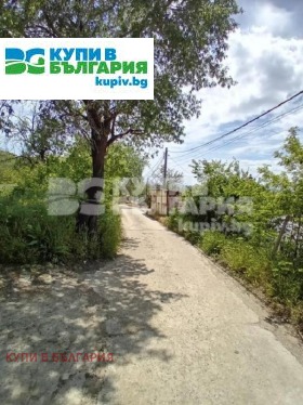 ����� ������� ������,���� �����, �-� �������