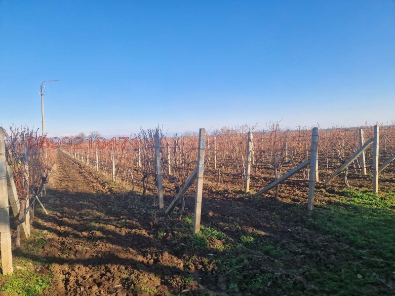 Продава ЗЕМЕДЕЛСКА ЗЕМЯ, с. Брестовица, област Пловдив