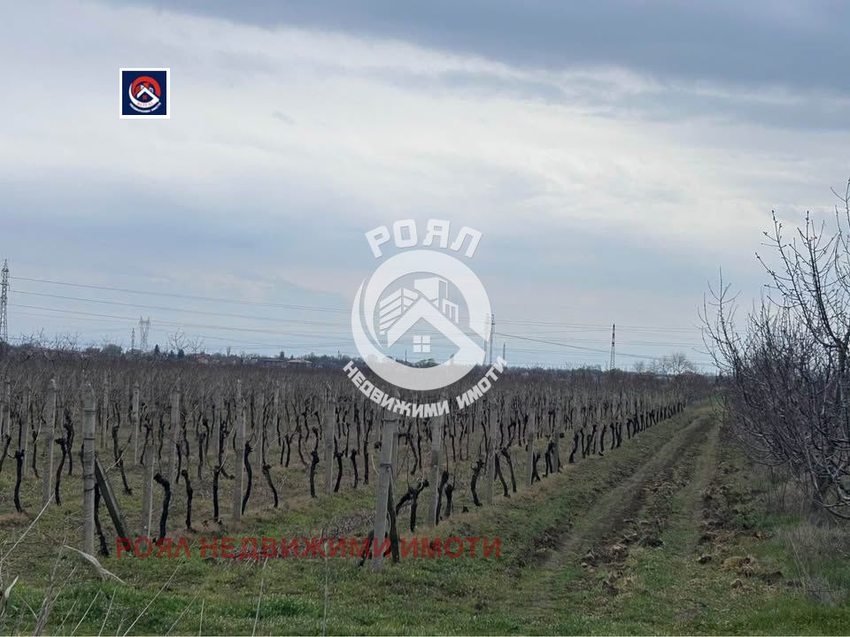 Продава ПАРЦЕЛ, с. Златитрап, област Пловдив, снимка 4 - Парцели - 56366682