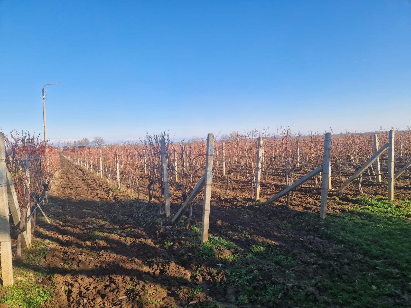 Продава ЗЕМЕДЕЛСКА ЗЕМЯ, с. Брестовица, област Пловдив