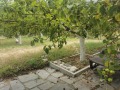 Продава ВИЛА, гр. Разлог, област Благоевград, снимка 5