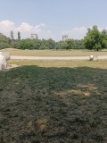 Продава 1-СТАЕН, град София, Стрелбище • 160000 € • 81659174 — Holmes.bg