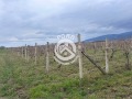 Продава  Парцел област Пловдив , с. Златитрап , 13699 кв.м | 11723598 - изображение [2]