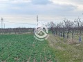 Продава  Парцел област Пловдив , с. Златитрап , 13699 кв.м | 11723598 - изображение [3]