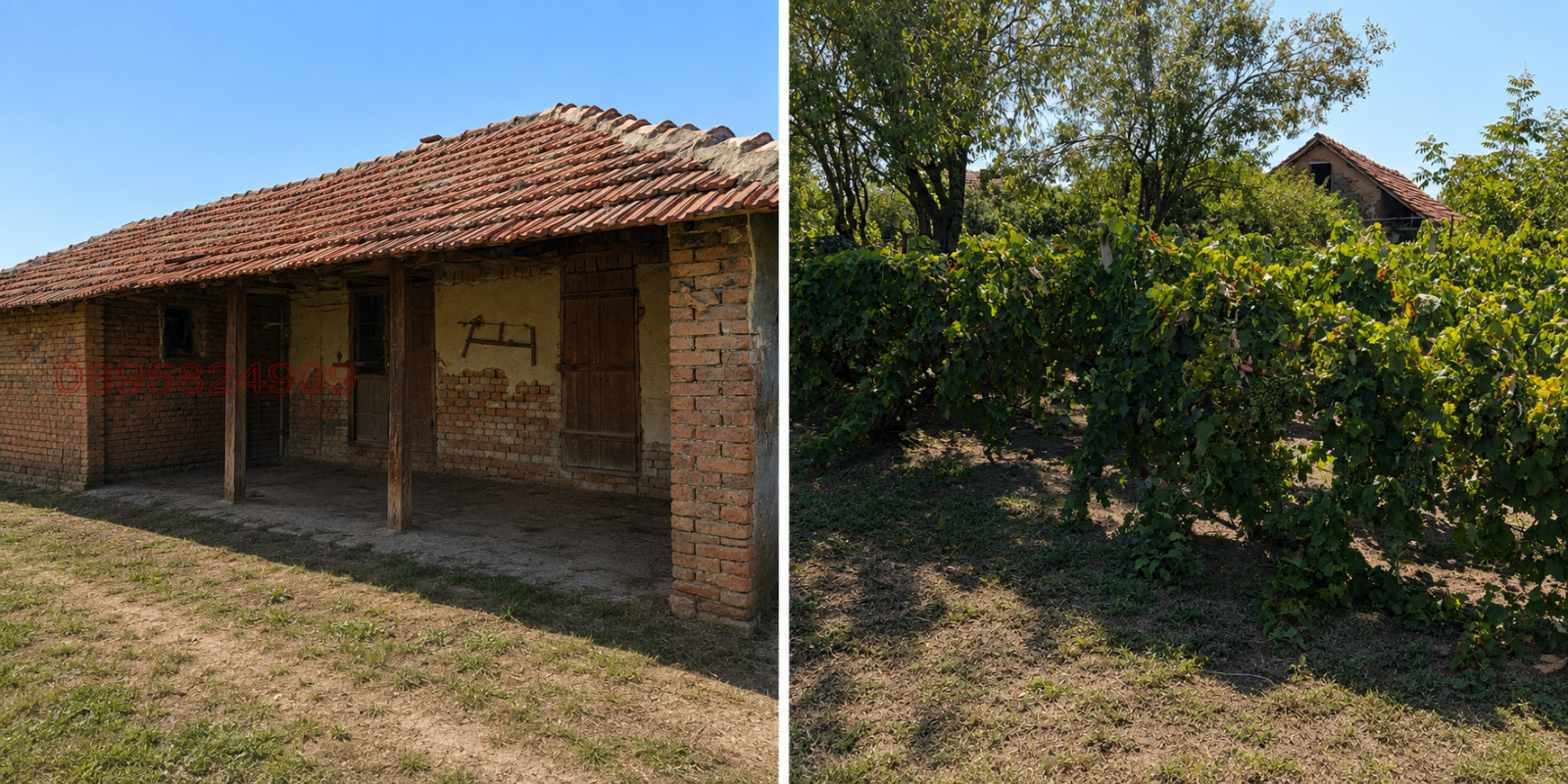 Продава КЪЩА, с. Търнава, област Враца, снимка 8 - Къщи - 55723844