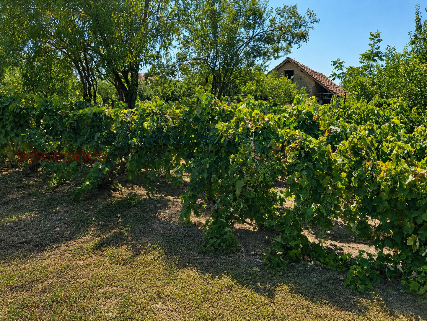 Продава КЪЩА, с. Търнава, област Враца, снимка 2 - Къщи - 55723844