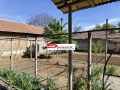 Продава КЪЩА, с. Крамолин, област Габрово, снимка 13
