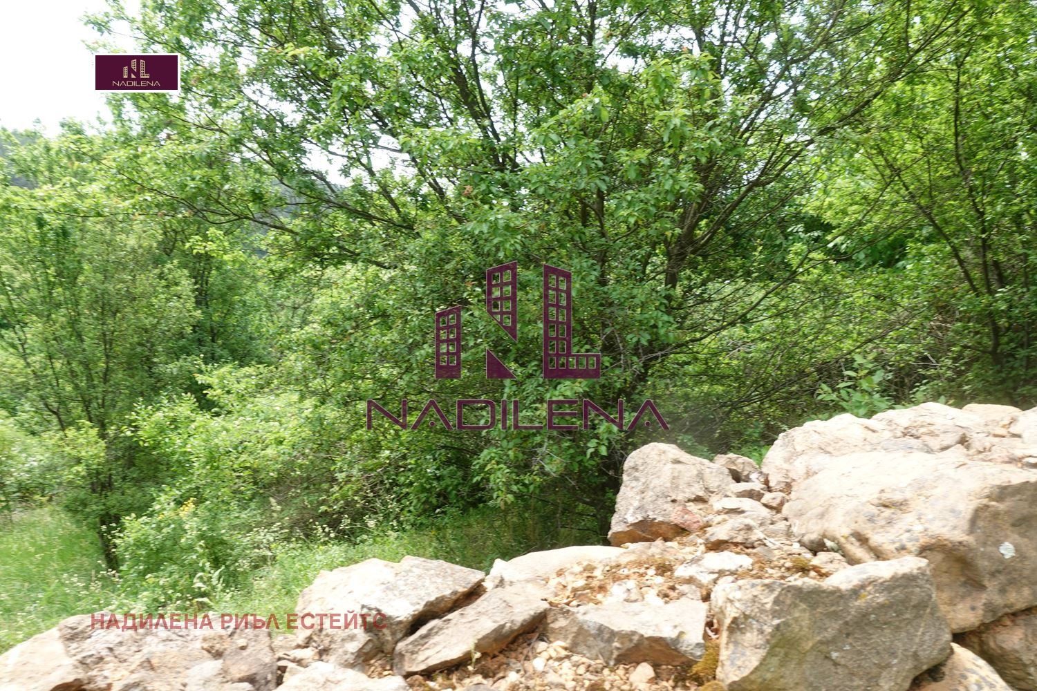 ������� ������ | Imot.bg � ����������� 14
