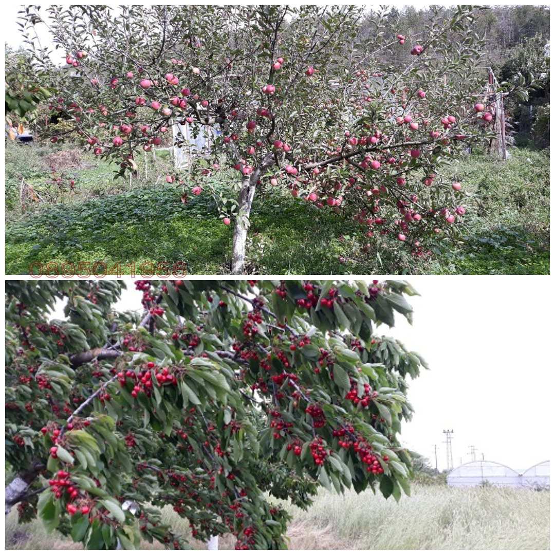 ������� ���� | Imot.bg � ����������� 15