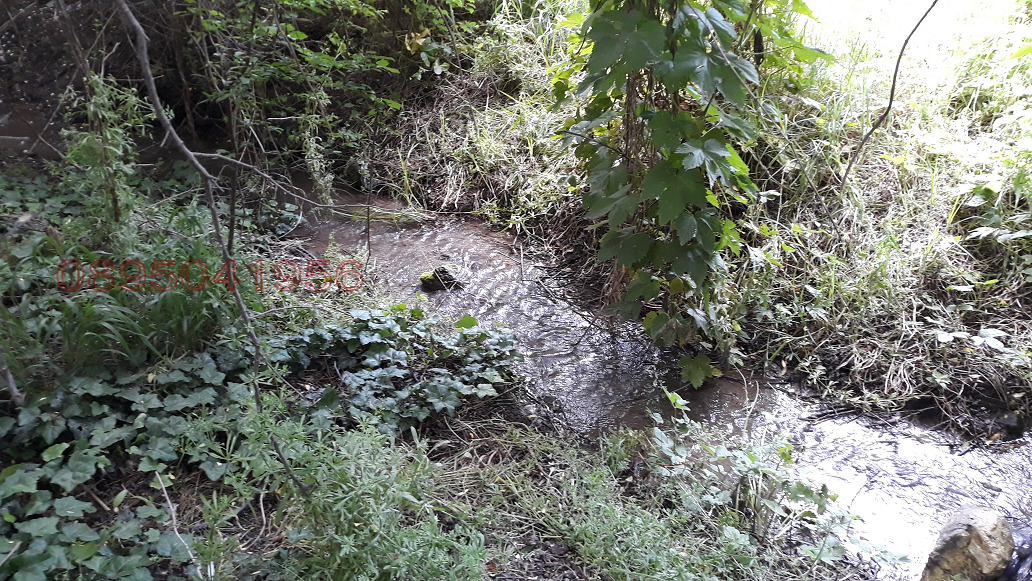 ������� ���� | Imot.bg � ����������� 16