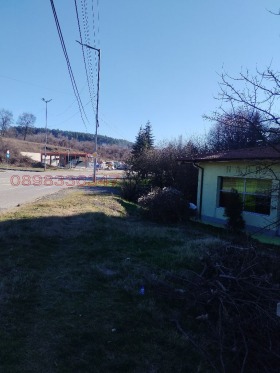 ����� ������� ������ ������,���� ������, ���������