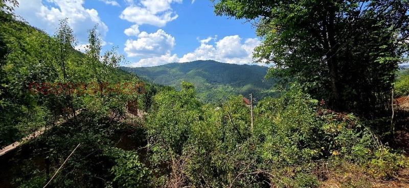 Продава КЪЩА, с. Томпсън, област София област, снимка 6 - Къщи - 52779677