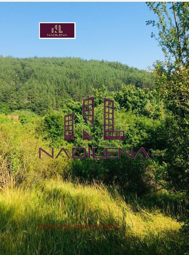 Продава ПАРЦЕЛ, с. Осоица, област София област, снимка 6 - Парцели - 54378778