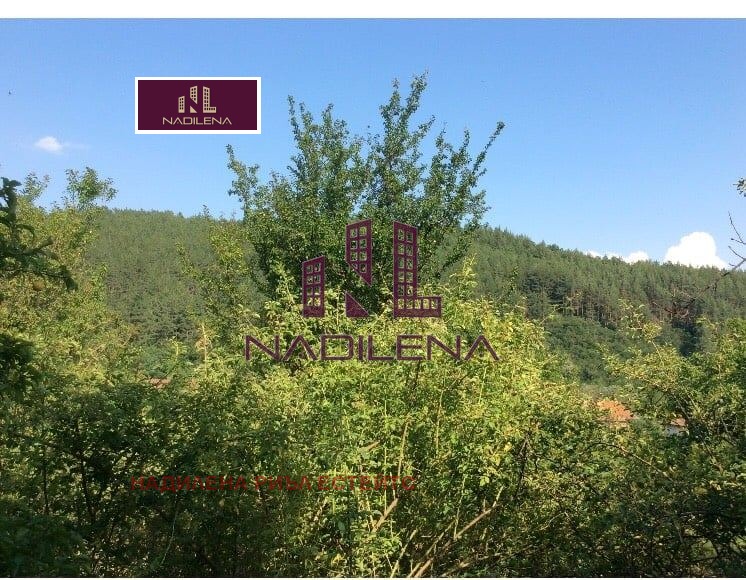 Продава ПАРЦЕЛ, с. Осоица, област София област, снимка 7 - Парцели - 54378778