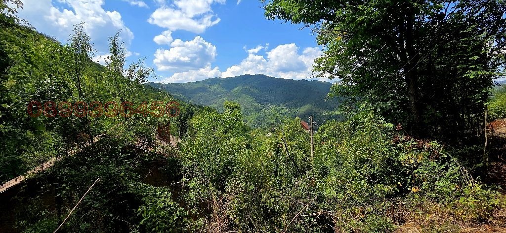 Продава КЪЩА, с. Томпсън, област София област, снимка 13 - Къщи - 54130639