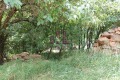 Продава ПАРЦЕЛ, с. Осоица, област София област, снимка 9